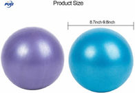 体育館のフタル酸塩自由なポリ塩化ビニールの背筋は球ポンプ65cm 95cm反破烈を緩める
