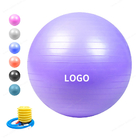 反破烈ポリ塩化ビニール55cmハンド ポンプまたはフィート ポンプを搭載する21.7インチの練習のヨガの球
