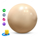 ポンプ ヨガのバランスの球の適性の球の練習の球が付いている健康のPilatesの安定性教師55cmのヨガのバランスの球