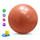 反破烈ポリ塩化ビニール55cmハンド ポンプまたはフィート ポンプを搭載する21.7インチの練習のヨガの球