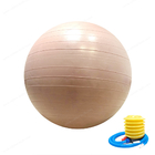 55cm 65cm 75cmポリ塩化ビニールの空気ポンプを搭載する注文の練習の体育館のヨガの球