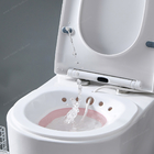 セリウム テストTolietのきれいな膣携帯用vの蒸気の座席浴室の女性のyoniの蒸気の座席