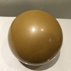 Eco家の功妙な体操の訓練のための友好的なポリ塩化ビニールのリズミカルな球15cm