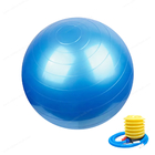 反破烈柔らかいポリ塩化ビニール45 55 65 75cmの体育館のヨガの球の練習装置の体育館の球