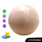 ポリ塩化ビニールの空気ポンプ練習の球の練習装置のヨガの球が付いている耐圧防爆適性45cmの17.7inchヨガの球